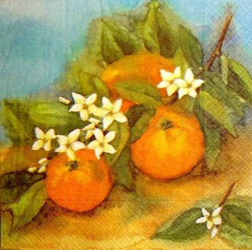 147 Zitronen, Orangen - 3-lagig